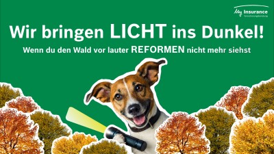 Licht ins Dunkle