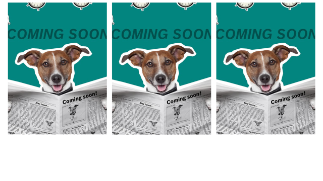 Bosch My Insurance auf Instagram