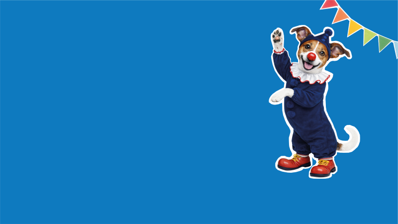 Bruno im Faschingskostüm