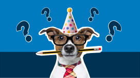 Bruno mit Fragezeichen