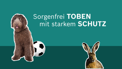 Ein Hund und ein Hase