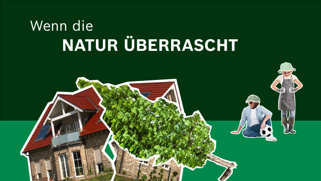 Wenn die Natur überrascht. 