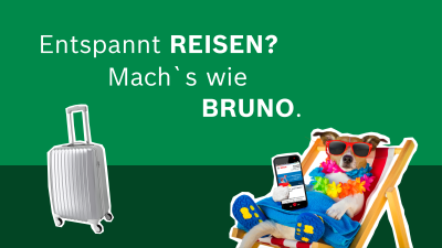 Bruno im Liegestuhl 