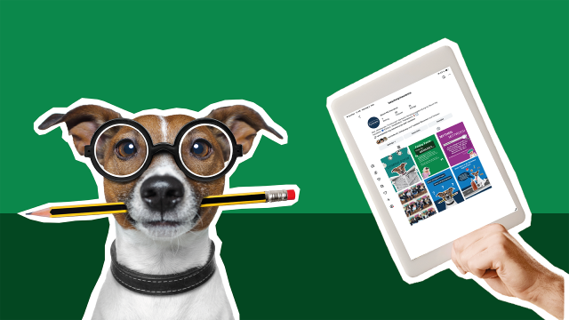 Instagram Bosch My Insurance