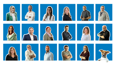 team My Insurance